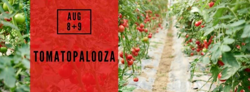Deep Roots Produce Tomatopalooza Facebook