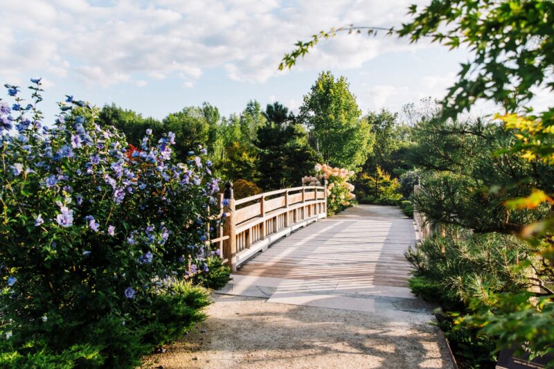 FMG Japanese Gardening Techniques Workshop webpage