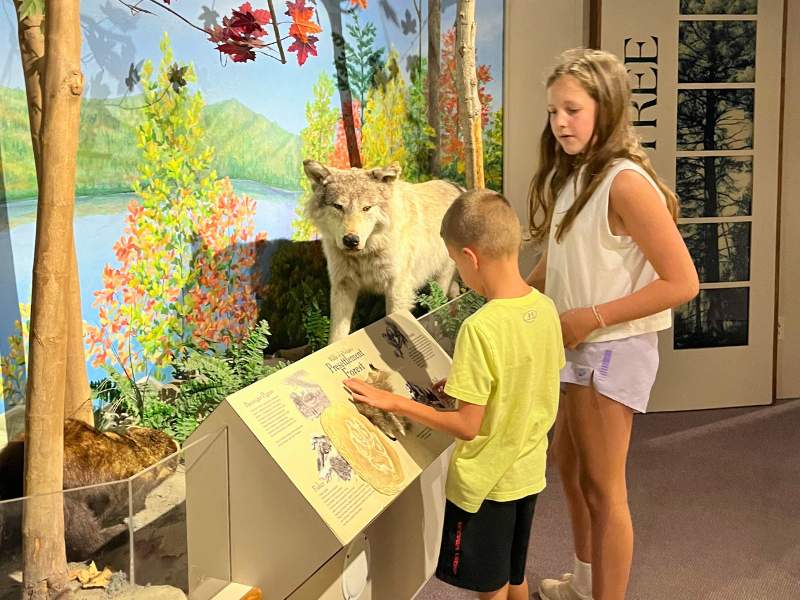 Hartwick Pines Visitor Center