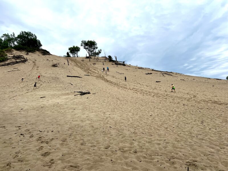 Warren Dunes State Park