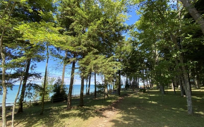 Magoon Creek Natural Area Picnic Area