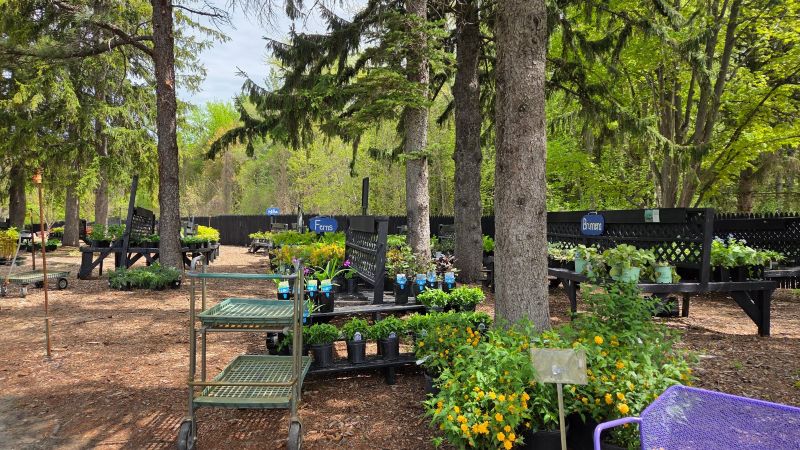 Pine Hill Nursery Torch Lake - FB