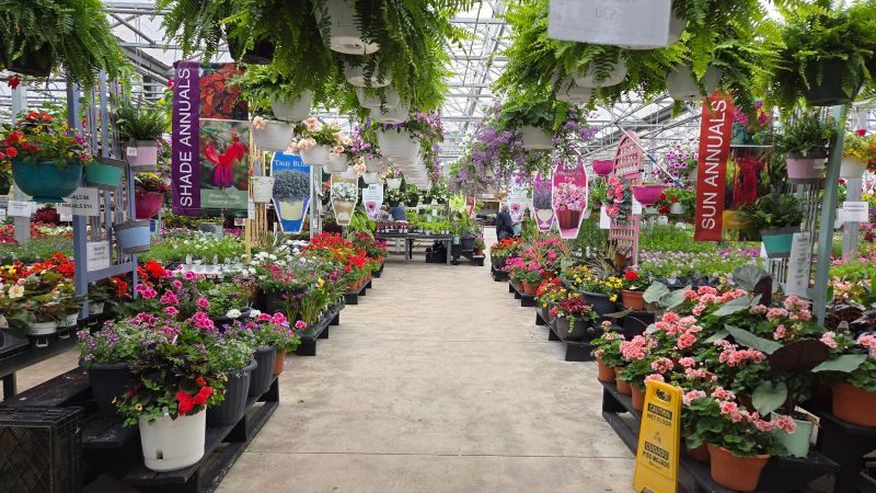Pine Hill Nusery Interior - FB