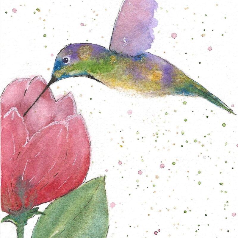 Watercolor Hummingbird Workshop Spruced Studio