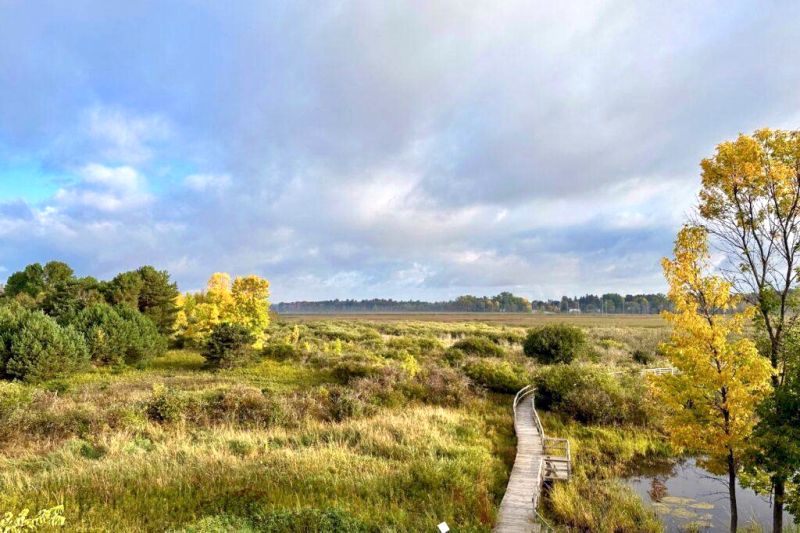 Woodland Dunes Nature Center And Preserve WI Website