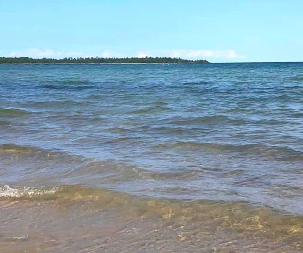 Besser Natural Area Sandy Lake Huron Beach