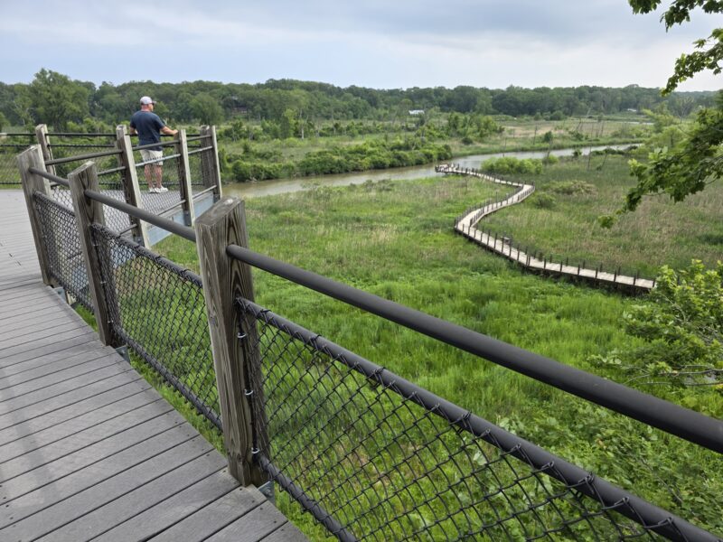 Galien River Park Canopy New Buffalo