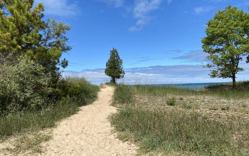 Magoon Creek Hiking Area Manistee