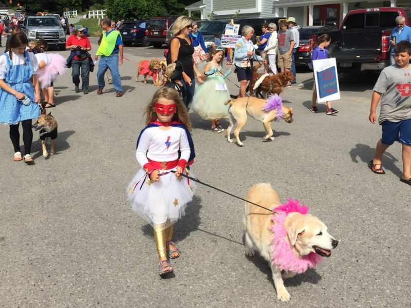 Northport Dog Parade Northport Chamber Of Commerce