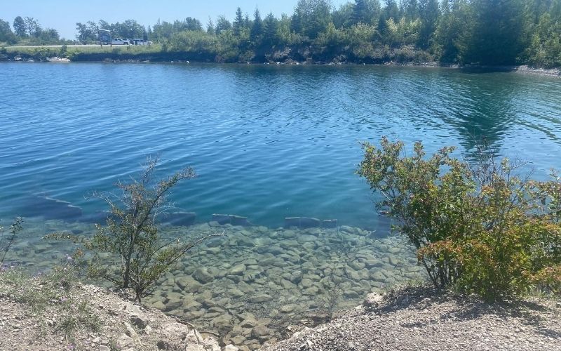 Rockport State Park Michigan 1