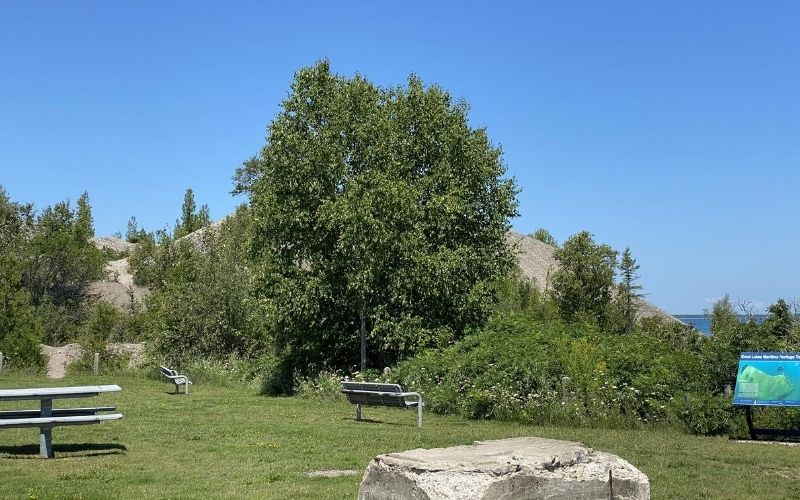 Rockport State Recreation Area Picnic Tables