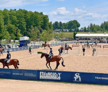Arenas at Flintfields Horse Park