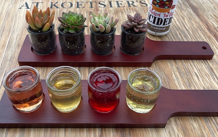 Submission: Cider Flights & Succulents at Koetsiers