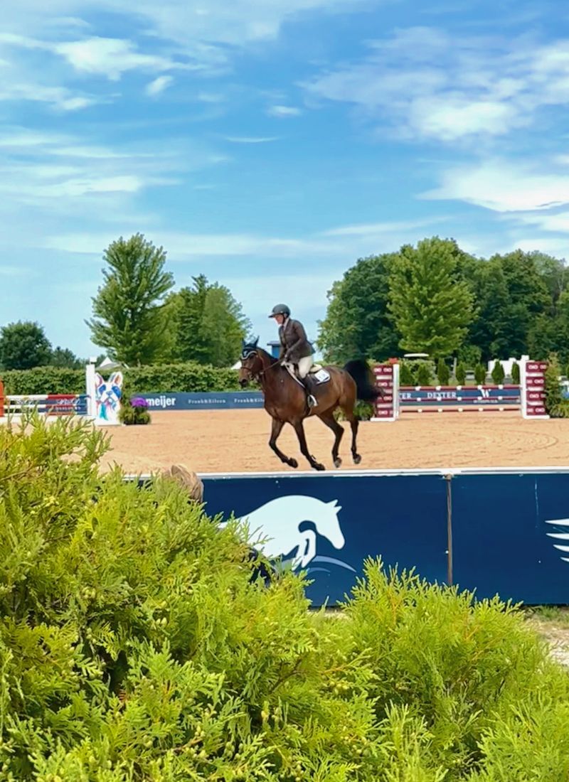 Traverse City Horse Shows