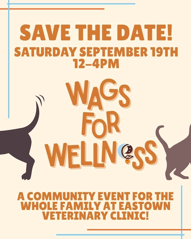 Wags for Wellness Eastown Vet Clinic FB