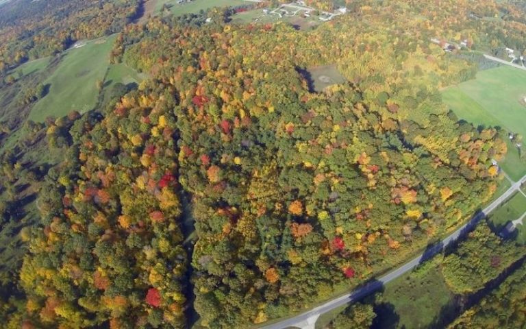 Fall Colors over Manistee Michigan