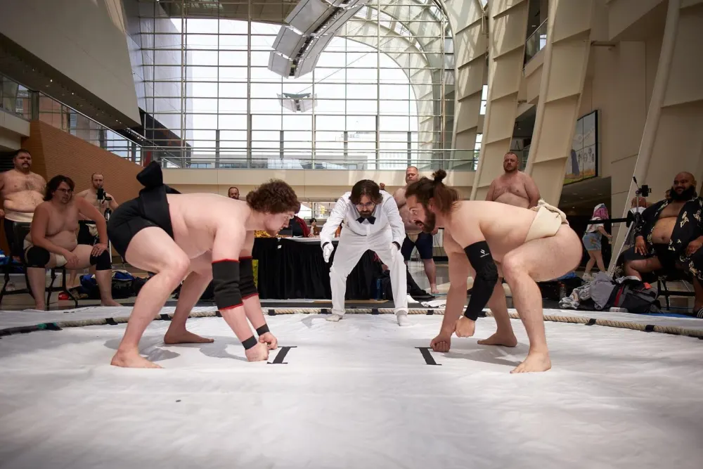 ArtPrize.org Sumo Wrestling Webpage