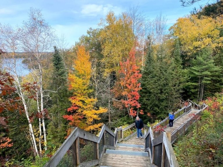 Au Sable River Road National Scenic Byway 2 768x576 1