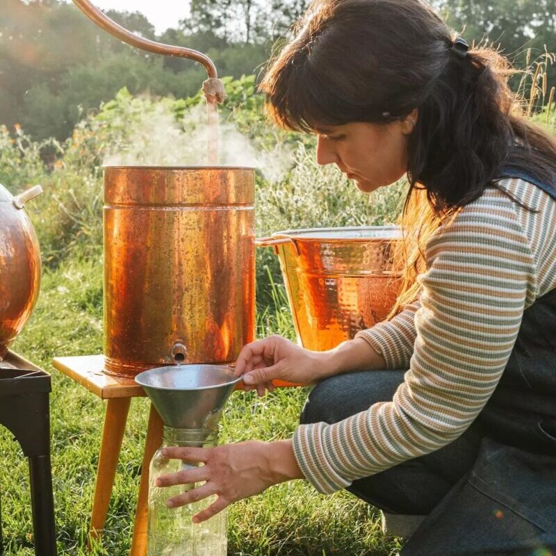 Blandford Autumn Equinox Botanical Distillation