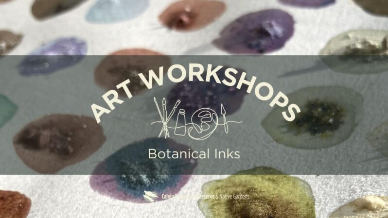 Calvin University Botanical Inks Workshop Webpage