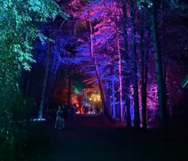 Glenlore Trails Spooky Forest Vriezema