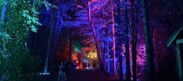 Glenlore Trails Spooky Forest Vriezema