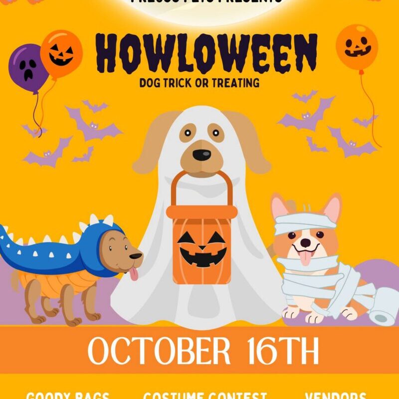 Preuss Pets Dog Halloween Facebook