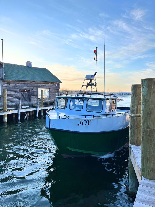 Tug Boat Joy Leland Foshtown Cox