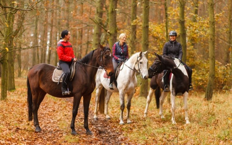 Michigan Color Tour Horse Trail Ride