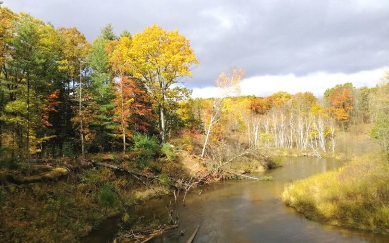 Pine River Canoe Sports 768x480 1