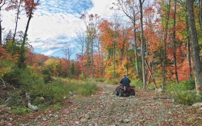 Ride Atv Fall Colors 768x480 1