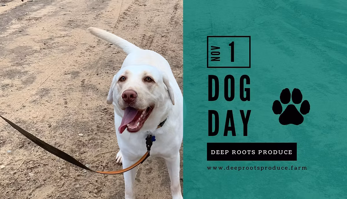 Deep Roots Produce Dog Day Webpage