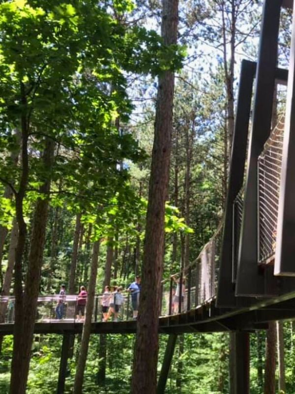 Dow Gardens Canopy Walk Midland Hunt