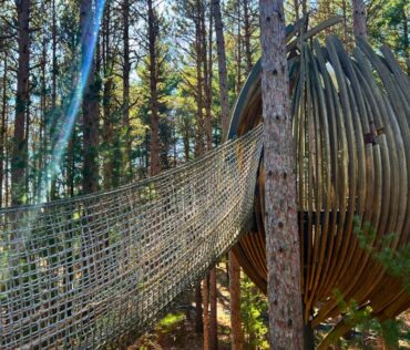 Dow Gardens Canopy Walk Midland MI Hunt