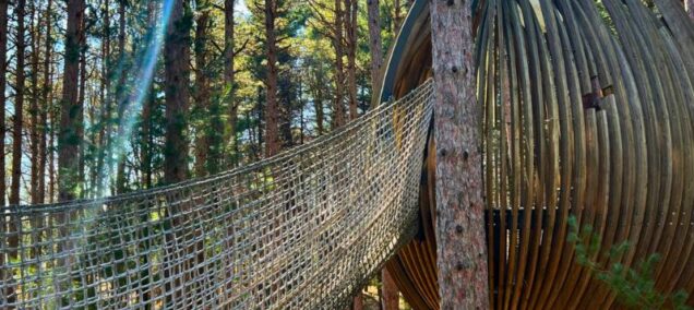 Dow Gardens Canopy Walk Midland MI Hunt