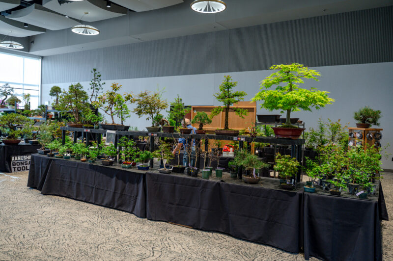 Frederik Meijer Gardens And Sculpture Park Fall Bonsai Show Webpage