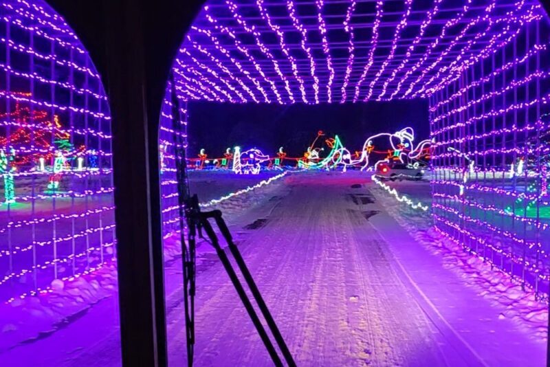 Looking Out From GR Holiday Lights Trolley