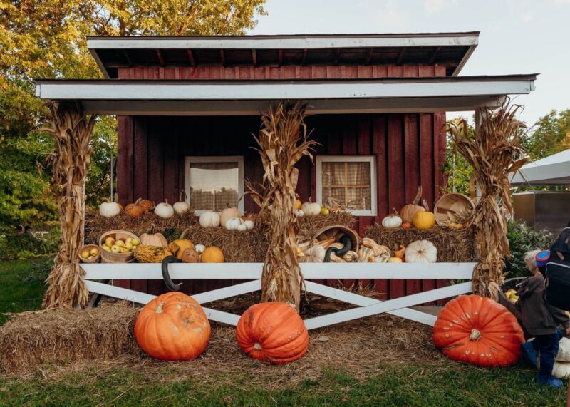 Submission Frederik Meijer Gardens Autumn Weekends