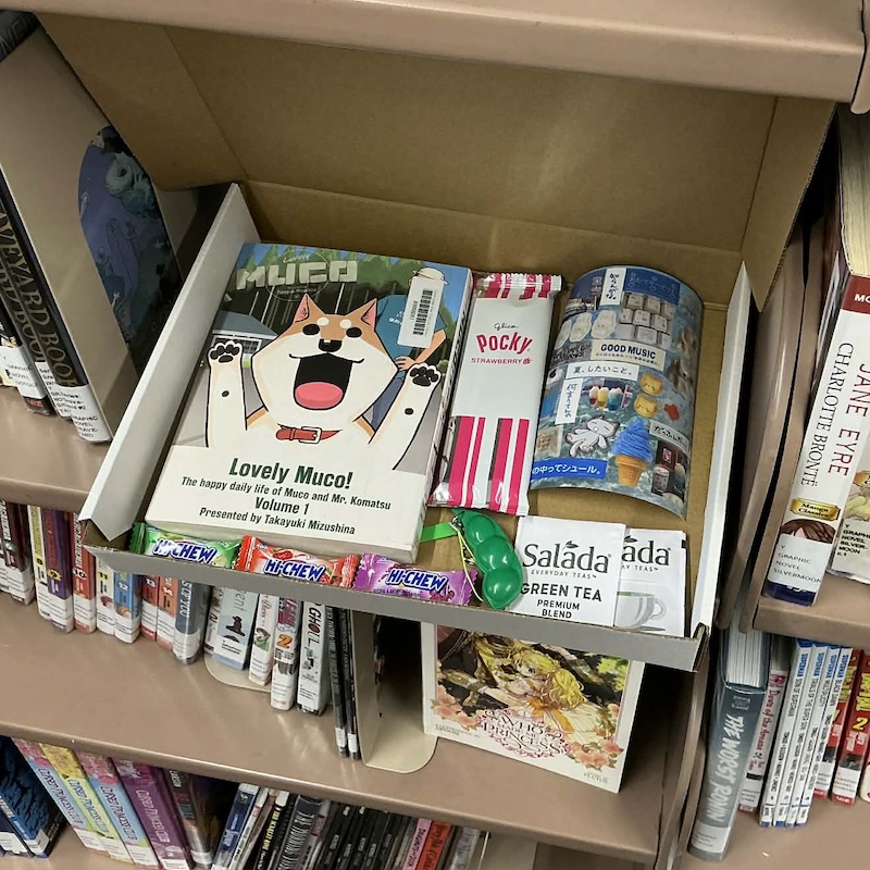 Teen Book Box GLADL